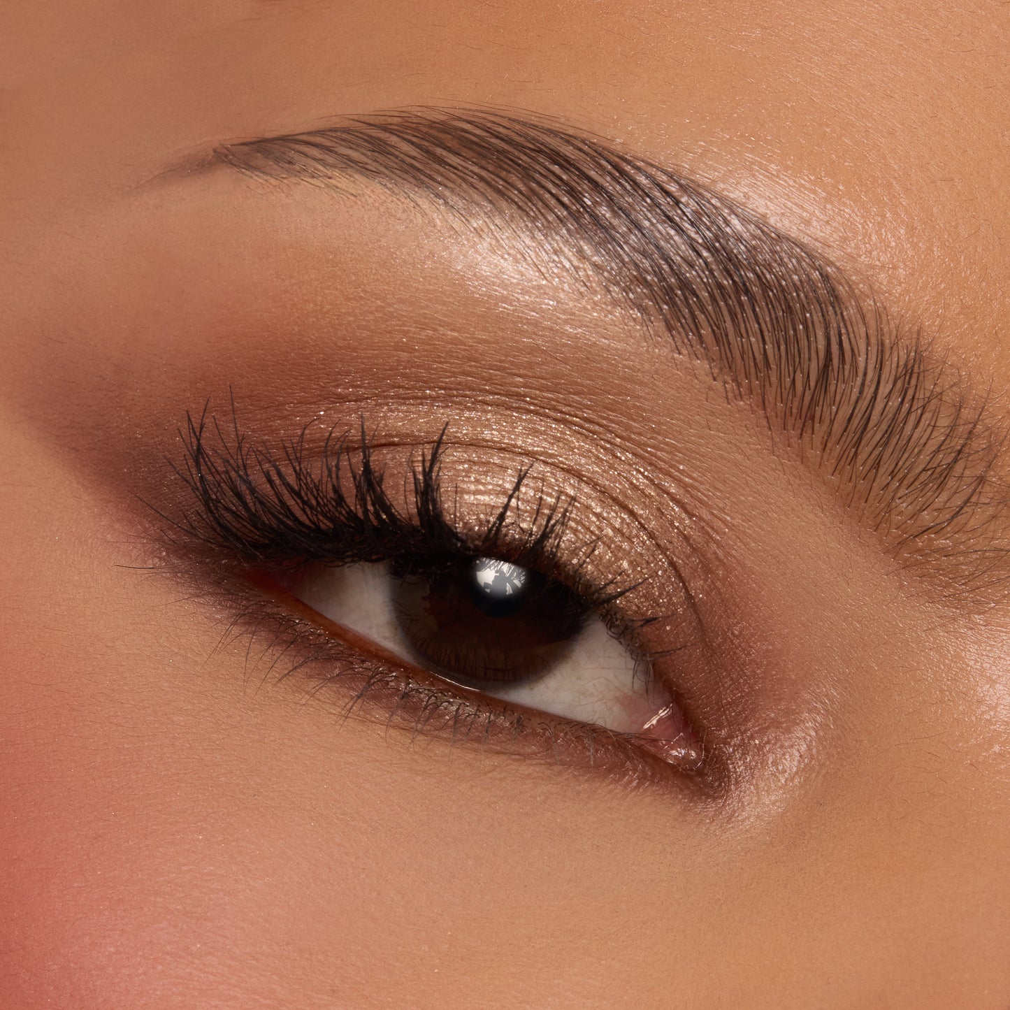 9 Pan Duo Bundle - US 5893